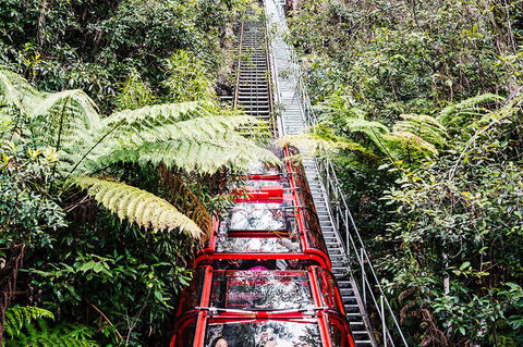 All-Inclusive Blue Mountains Day Trip With River Cruise - Accommodation Brunswick Heads 6