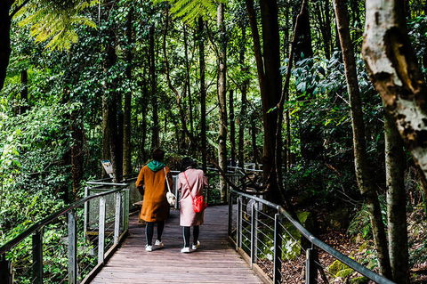 All-Inclusive Blue Mountains Day Trip With River Cruise - Accommodation Brunswick Heads 10