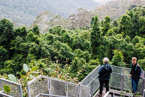 All-Inclusive Blue Mountains Day Trip With River Cruise - Accommodation Brunswick Heads 2