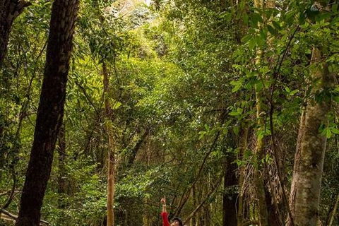 All-Inclusive Blue Mountains Day Trip With River Cruise - Accommodation Brunswick Heads 26