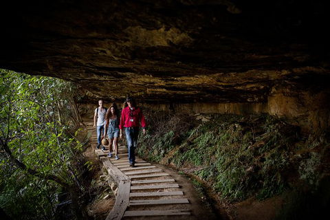 All-Inclusive Blue Mountains Day Trip With River Cruise - Accommodation Brunswick Heads 34