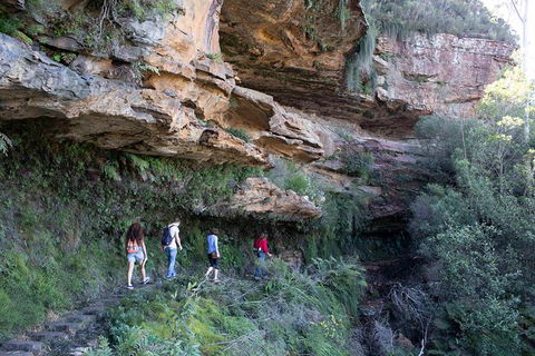 All-Inclusive Blue Mountains Day Trip With River Cruise - Accommodation Brunswick Heads 38