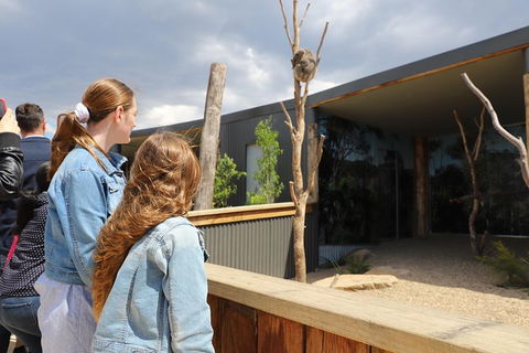 All-Inclusive Blue Mountains Day Trip With River Cruise - Accommodation Brunswick Heads 23