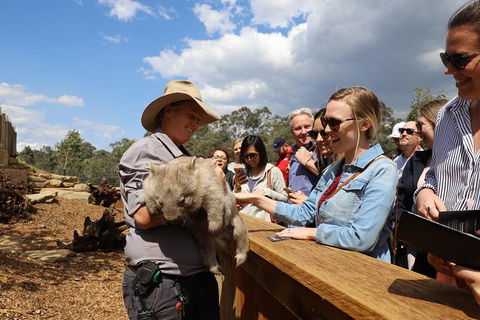 All-Inclusive Blue Mountains Day Trip With River Cruise - Accommodation Brunswick Heads 27