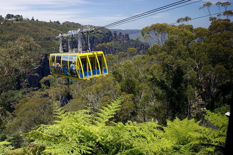 Go Sydney Explorer Pass With Hop-on Hop-Off Bus, Taronga Zoo And More - Accommodation Brunswick Heads 10