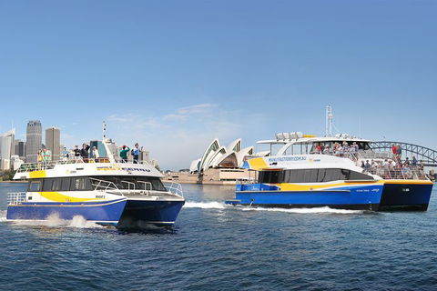 Go Sydney Explorer Pass With Hop-on Hop-Off Bus, Taronga Zoo And More - Accommodation Brunswick Heads 7
