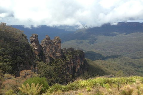 All-Inclusive Blue Mountains Tour In A Luxury Mercedes Sprinter - Accommodation Brunswick Heads 11