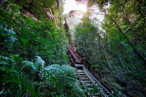 All-Inclusive Blue Mountains Tour In A Luxury Mercedes Sprinter - Accommodation Brunswick Heads 3