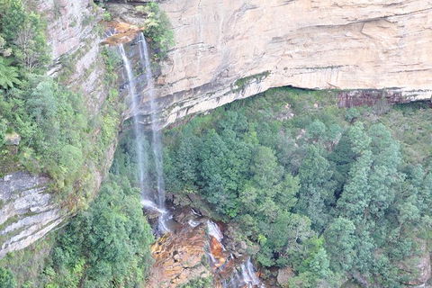 All-Inclusive Blue Mountains Tour In A Luxury Mercedes Sprinter - Accommodation Brunswick Heads 17