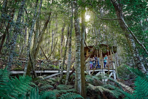 All-Inclusive Blue Mountains Tour In A Luxury Mercedes Sprinter - Accommodation Brunswick Heads 19