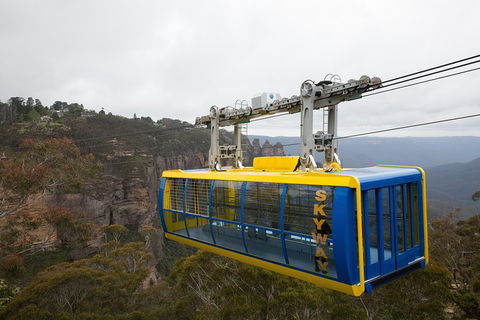 All-Inclusive Blue Mountains Tour In A Luxury Mercedes Sprinter - Accommodation Brunswick Heads 10