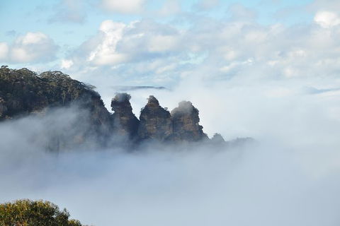 All-Inclusive Blue Mountains Tour In A Luxury Mercedes Sprinter - Accommodation Brunswick Heads 15