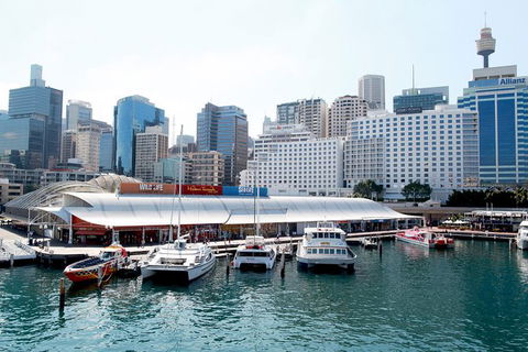 Sydney Attraction Pass: Darling Harbour Experience Ticket - Accommodation Brunswick Heads 0