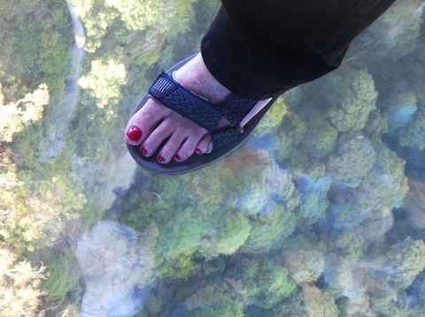 Blue Mountains Day Trip From Sydney Including Scenic World - Accommodation Brunswick Heads 1