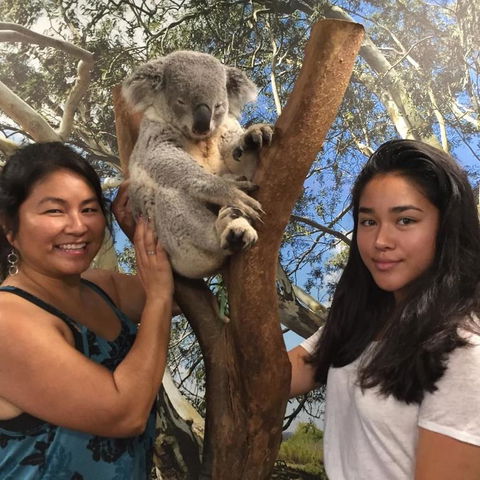 Blue Mountains Day Trip From Sydney Including Scenic World - Accommodation Brunswick Heads 5