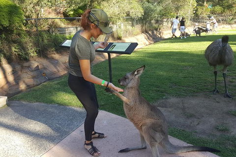 Sydney Private Day Tours - Central Coast, Beaches, Plus Wildlife & Reptile Park - Accommodation Brunswick Heads 0
