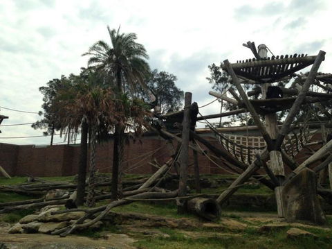 Sydney Taronga Zoo General Entry Ticket - Accommodation Brunswick Heads 20