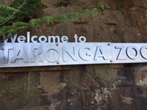 Sydney Taronga Zoo General Entry Ticket - Accommodation Brunswick Heads 4