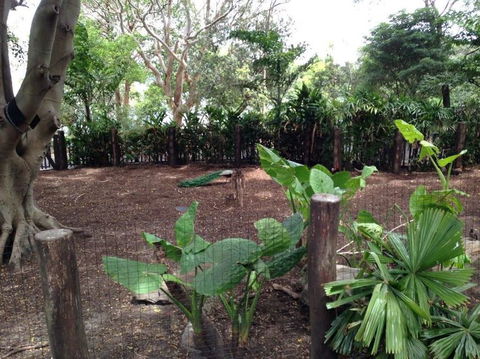 Sydney Taronga Zoo General Entry Ticket - Accommodation Brunswick Heads 19