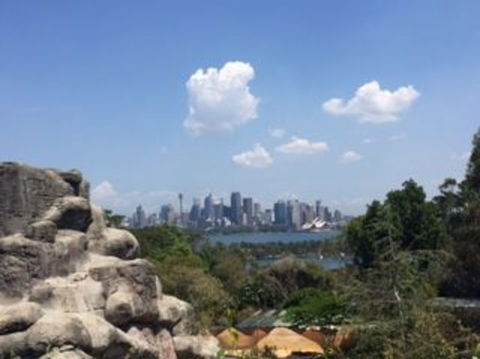 Sydney Taronga Zoo General Entry Ticket - Accommodation Brunswick Heads 5