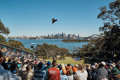 Sydney Taronga Zoo General Entry Ticket - Accommodation Brunswick Heads 27