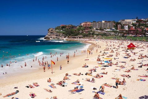 Sydney Half Day Highlights - Luxury Private Tour - Morning Or Afternoon Avail - Accommodation Brunswick Heads 13