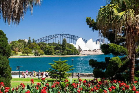 Sydney Half Day Highlights - Luxury Private Tour - Morning Or Afternoon Avail - Accommodation Brunswick Heads 6