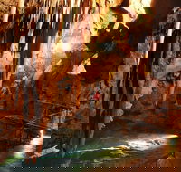 Jenolan Caves and Blue Mountains Tour from Sydney - Accommodation Brunswick Heads