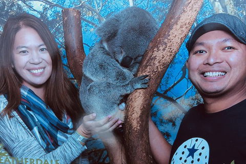 Blue Mountains Private Day Tour From Sydney With Wildlife Park And Cruise - Accommodation Brunswick Heads 1