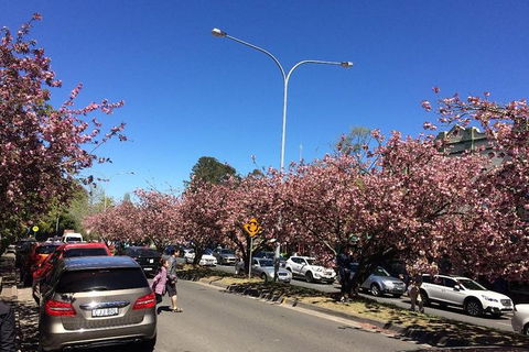 Blue Mountains Private Day Tour From Sydney With Wildlife Park And Cruise - Accommodation Brunswick Heads 7