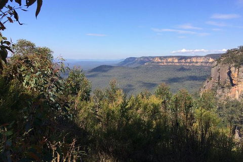 Blue Mountains Private Day Tour From Sydney With Wildlife Park And Cruise - Accommodation Brunswick Heads 3