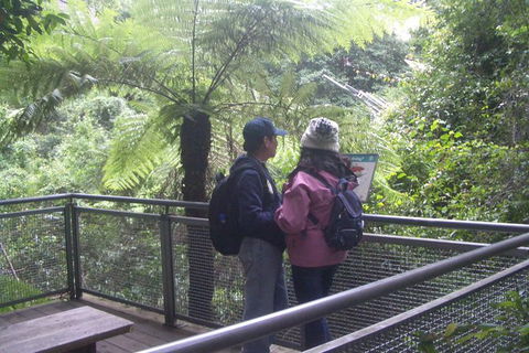 Blue Mountains Private Day Tour From Sydney With Wildlife Park And Cruise - Accommodation Brunswick Heads 13