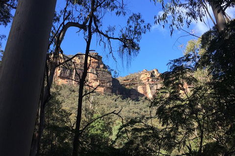 Blue Mountains Private Day Tour From Sydney With Wildlife Park And Cruise - Accommodation Brunswick Heads 10