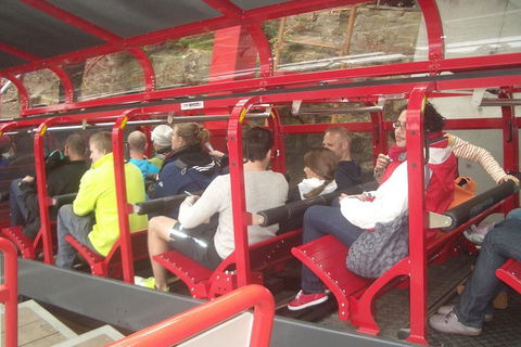 Blue Mountains Private Day Tour From Sydney With Wildlife Park And Cruise - Accommodation Brunswick Heads 16