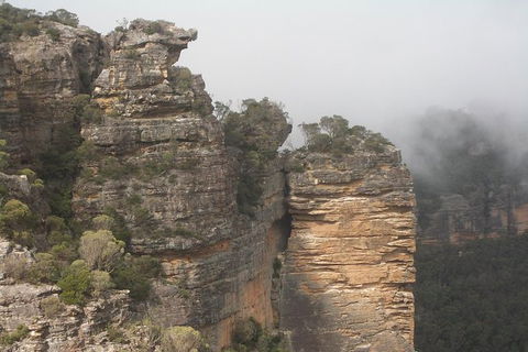 Blue Mountains Private Day Tour From Sydney With Wildlife Park And Cruise - Accommodation Brunswick Heads 5