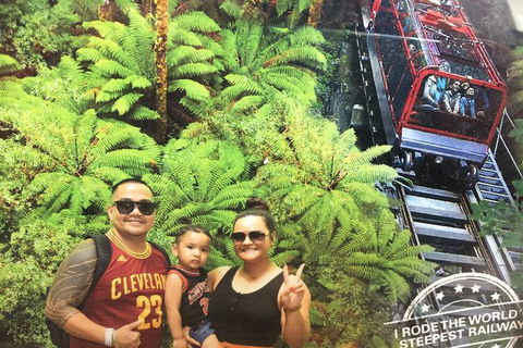 Blue Mountains Private Day Tour From Sydney With Wildlife Park And Cruise - Accommodation Brunswick Heads 4