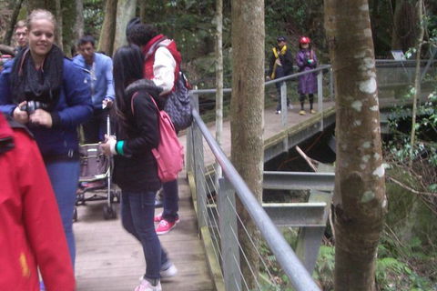Blue Mountains Private Day Tour From Sydney With Wildlife Park And Cruise - Accommodation Brunswick Heads 8
