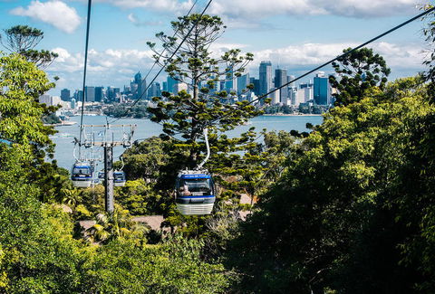 Sydney Taronga Zoo General Entry Ticket And Wild Australia Experience - Accommodation Brunswick Heads 13