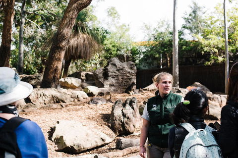 Sydney Taronga Zoo General Entry Ticket And Wild Australia Experience - Accommodation Brunswick Heads 8