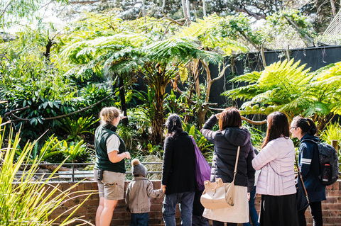 Sydney Taronga Zoo General Entry Ticket And Wild Australia Experience - Accommodation Brunswick Heads 14