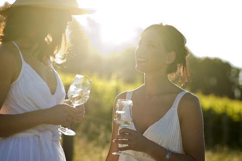 Hunter Valley Wine Tour From Sydney With Lunch And 3 Cellar Door Tastings - Accommodation Brunswick Heads 0