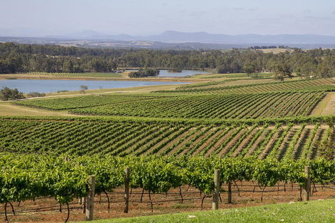 Hunter Valley Wine Tour From Sydney With Lunch And 3 Cellar Door Tastings - Accommodation Brunswick Heads 1