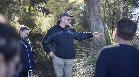 Small-Group Blue Mountains Day Trip From Sydney With Wildlife Park - Accommodation Brunswick Heads 17