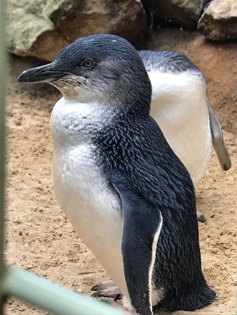 Small-Group Blue Mountains Day Trip From Sydney With Wildlife Park - Accommodation Brunswick Heads 6