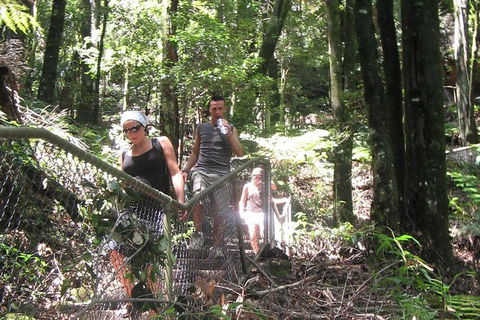 Small-Group Blue Mountains Day Trip From Sydney With Wildlife Park - Accommodation Brunswick Heads 32