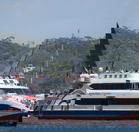 Sydney Boxing Day Cruise 2019 - Accommodation Brunswick Heads