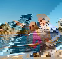 Sydney Harbour Highlights Cruise - Accommodation Brunswick Heads