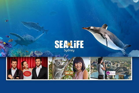 Sydney Attractions Pass: SEA LIFE Aquarium, Sydney Tower Eye, WILD LIFE Zoo And Madame Tussauds - Accommodation Brunswick Heads 0