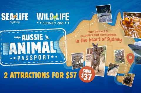 Sydney Attractions Pass: SEA LIFE Aquarium, Sydney Tower Eye, WILD LIFE Zoo And Madame Tussauds - Accommodation Brunswick Heads 4
