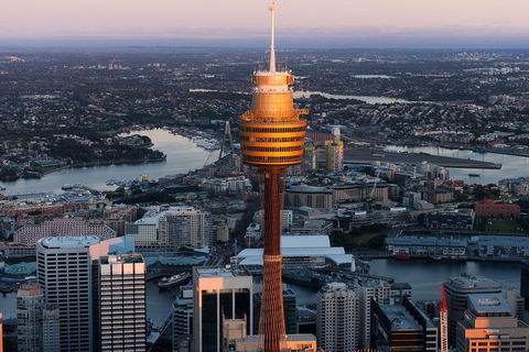 Sydney Attractions Pass: SEA LIFE Aquarium, Sydney Tower Eye, WILD LIFE Zoo And Madame Tussauds - Accommodation Brunswick Heads 8